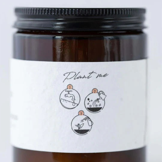 Cherry and Fig Candle by The Candle Brand