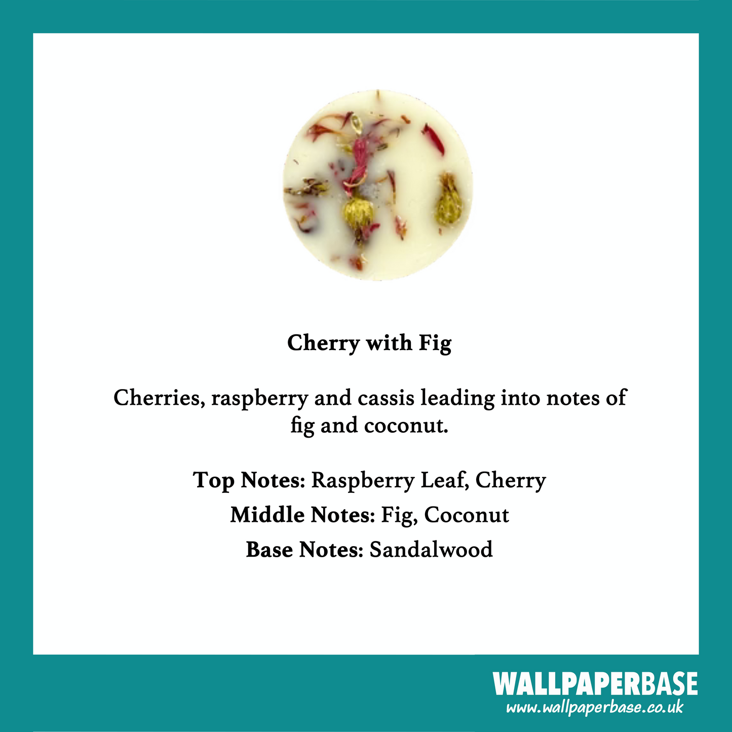 Cherry and Fig Candle by The Candle Brand