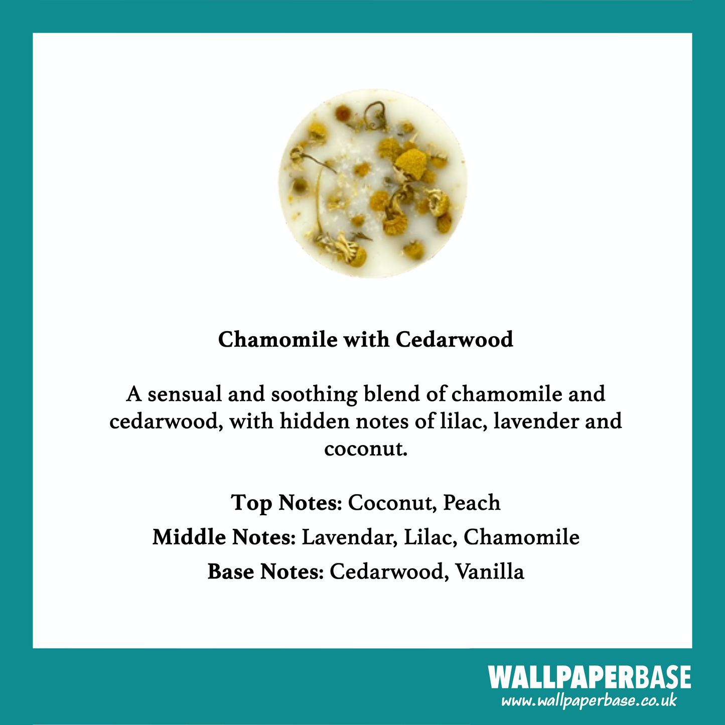 Chamomile with Cedarwood Candle by The Candle Brand