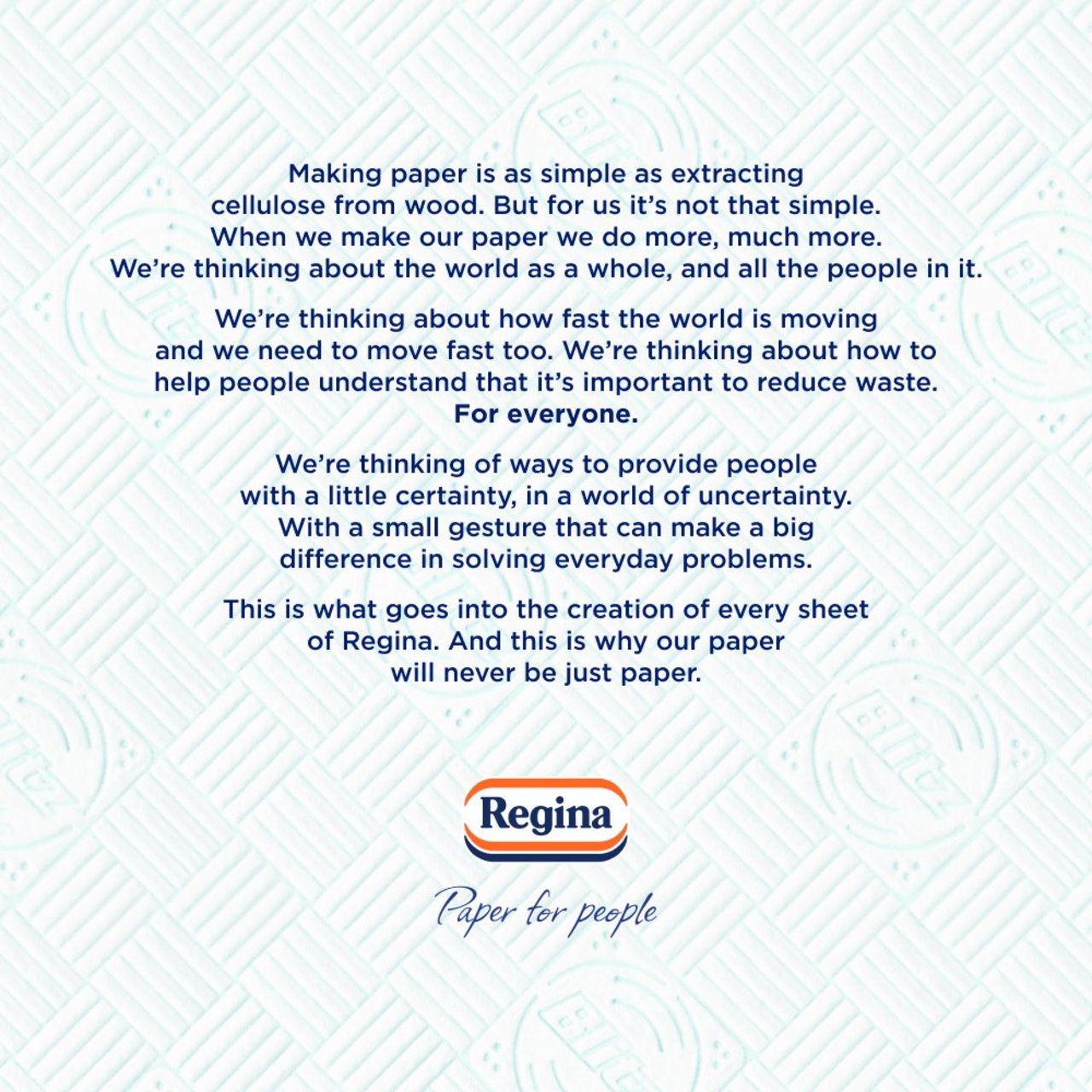 Regina Blitz Household Towel