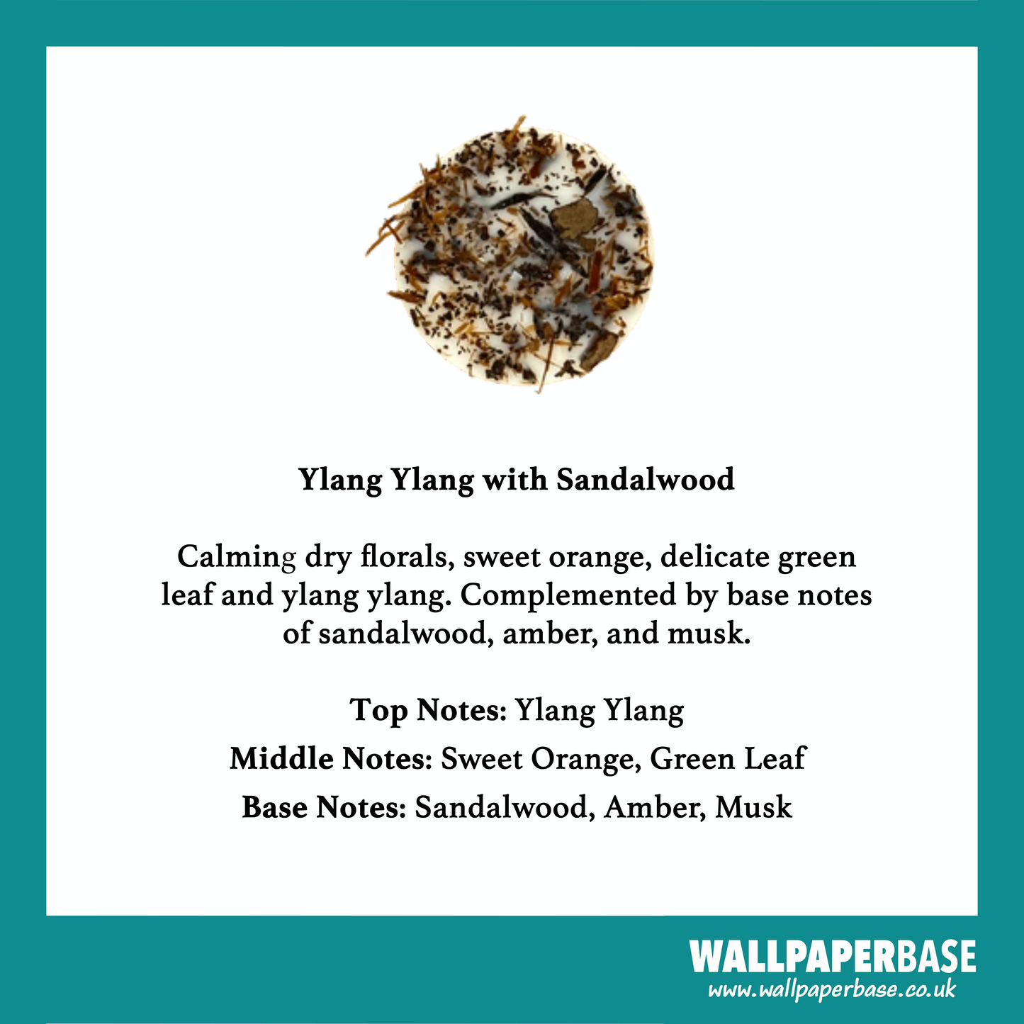 Ylang Ylang and Sandalwood Candle by The Candle Brand