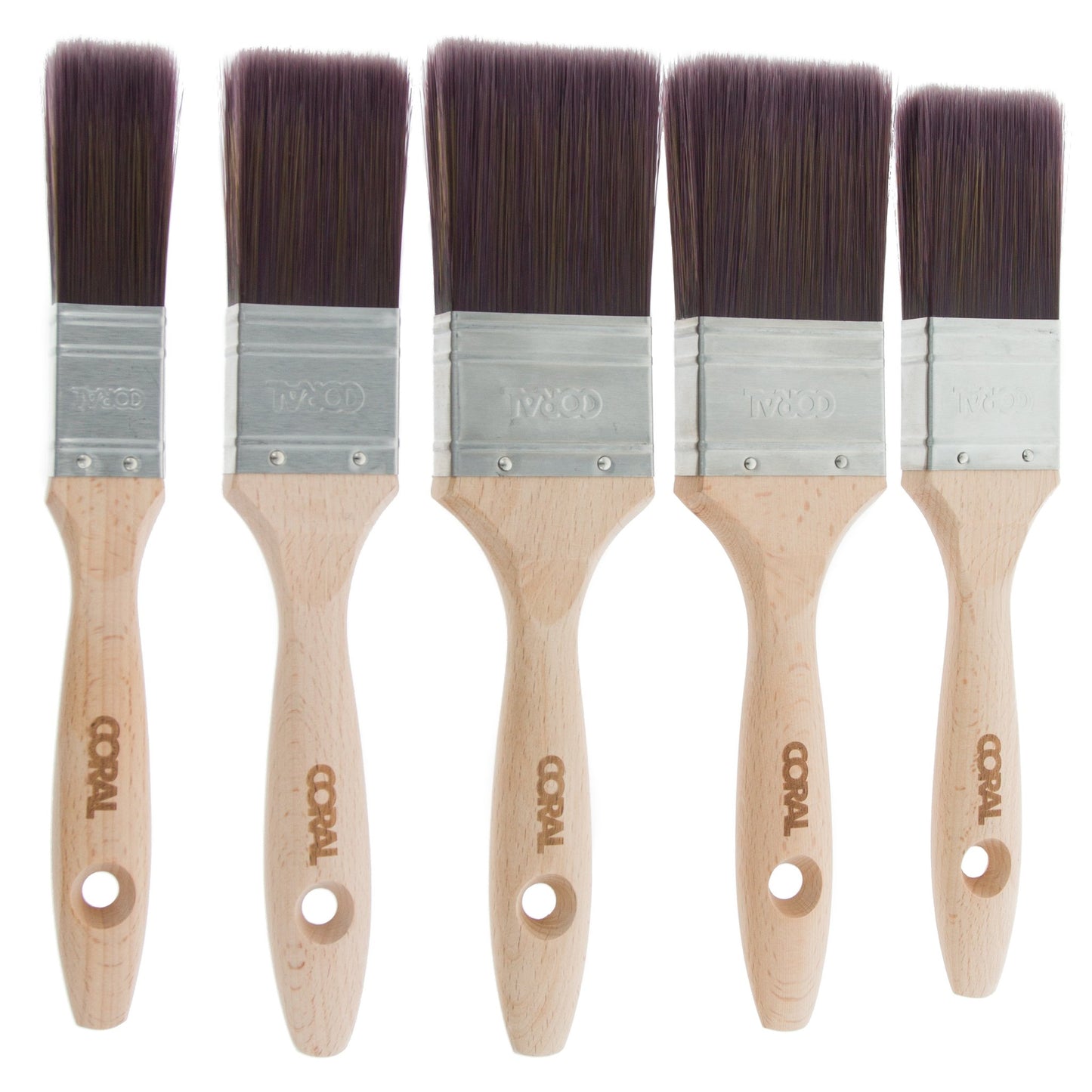 Aspire Paint Brush Set 5 piece