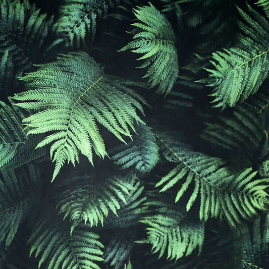 Fern Wall Green 907601 by Arthouse