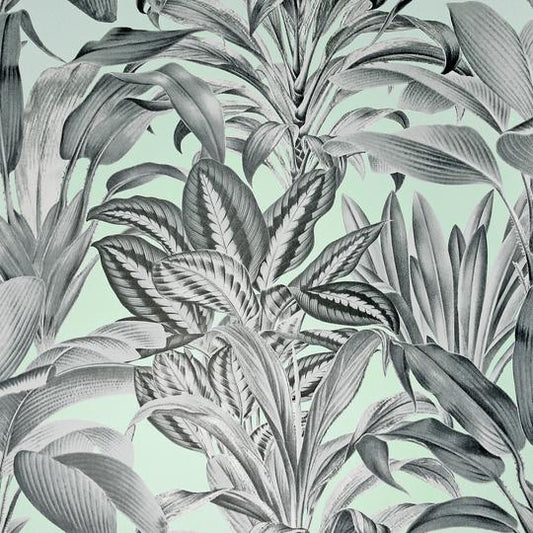 Greenhouse Plants Mint 909500 by Arthouse