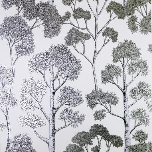 Delamere White/Silver 909505 by Arthouse