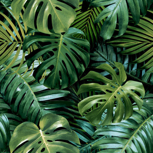 Living Wall Green 924108 by Arthouse