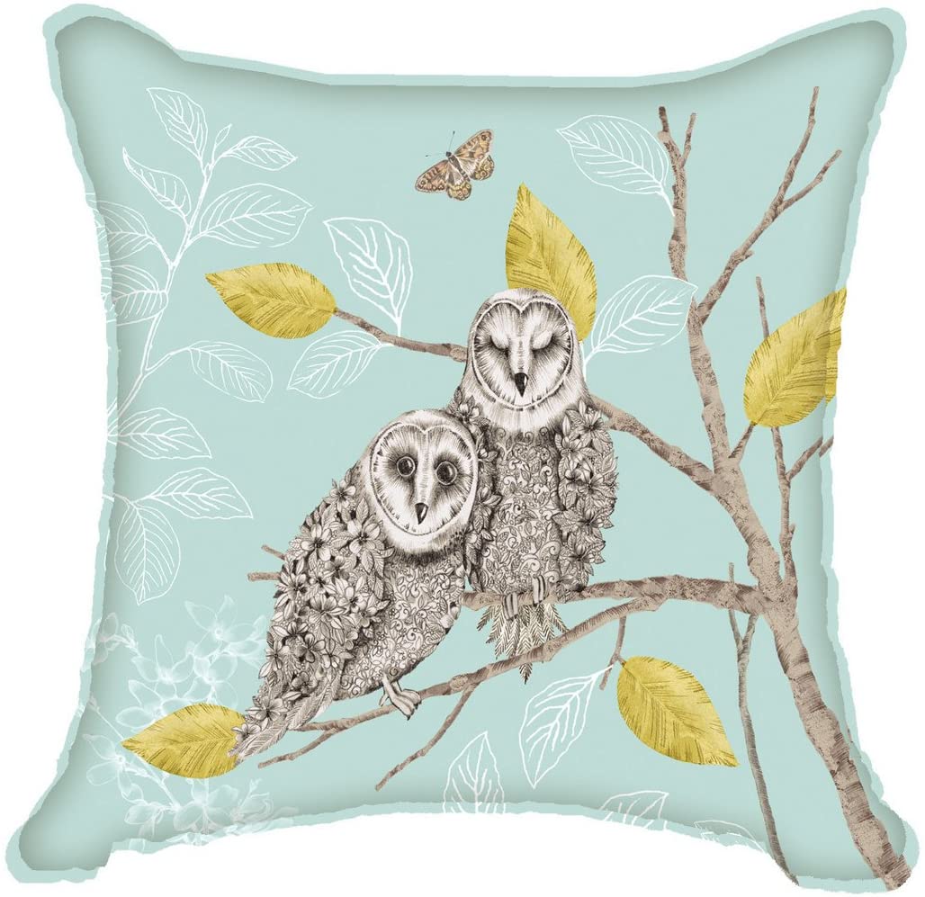 Night Owl Duck Egg Cushion by Arthouse